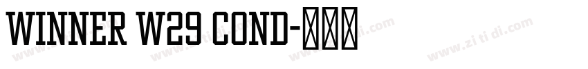 Winner W29 Cond字体转换